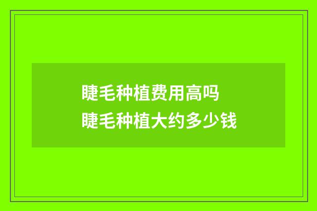 睫毛种植费用高吗 睫毛种植大约多少钱