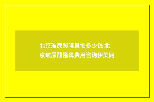 北京玻尿酸隆鼻需多少钱 北京玻尿酸隆鼻费用咨询伊美网