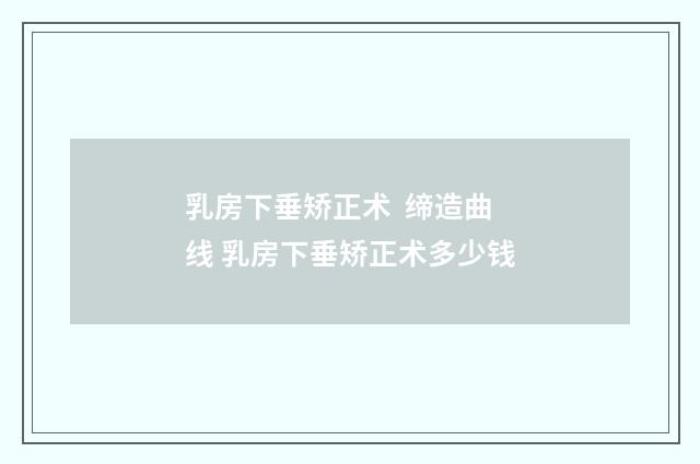 乳房下垂矫正术  缔造曲线 乳房下垂矫正术多少钱