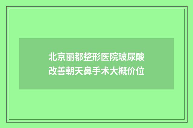 北京丽都整形医院玻尿酸改善朝天鼻手术大概价位