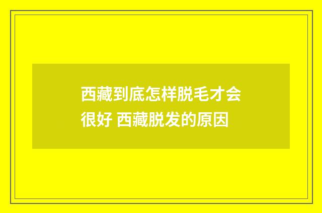 西藏到底怎样脱毛才会很好 西藏脱发的原因