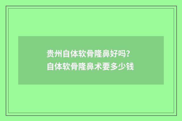 贵州自体软骨隆鼻好吗？ 自体软骨隆鼻术要多少钱
