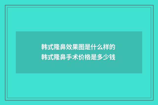 韩式隆鼻效果图是什么样的 韩式隆鼻手术价格是多少钱