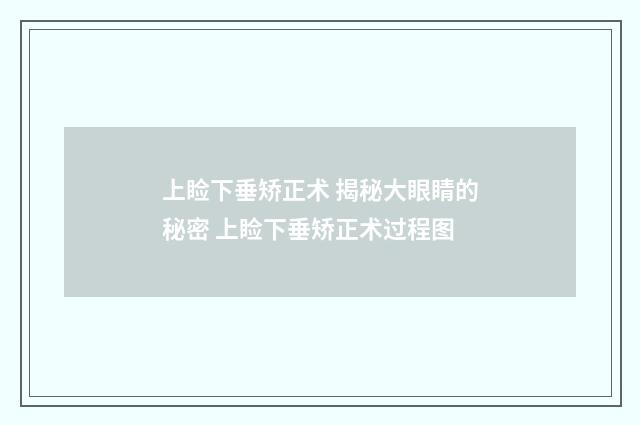 上睑下垂矫正术 揭秘大眼睛的秘密 上睑下垂矫正术过程图