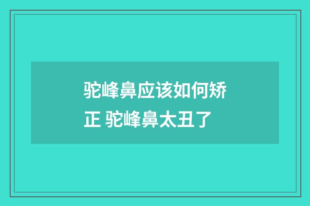驼峰鼻应该如何矫正 驼峰鼻太丑了
