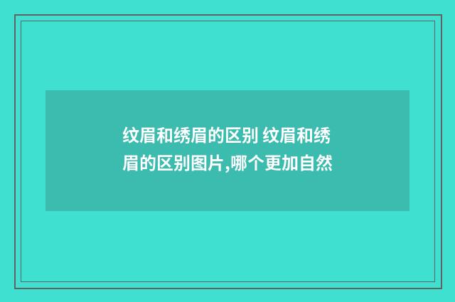 纹眉和绣眉的区别 纹眉和绣眉的区别图片,哪个更加自然