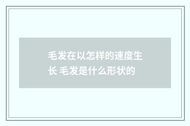 毛发在以怎样的速度生长 毛发是什么形状的