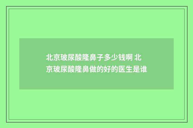 北京玻尿酸隆鼻子多少钱啊 北京玻尿酸隆鼻做的好的医生是谁