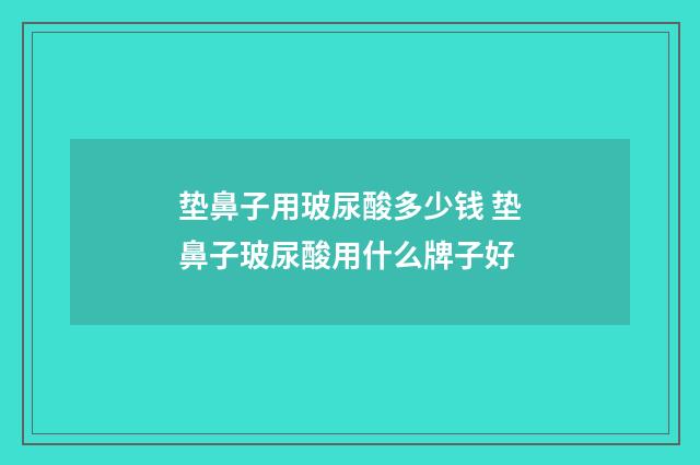 垫鼻子用玻尿酸多少钱 垫鼻子玻尿酸用什么牌子好