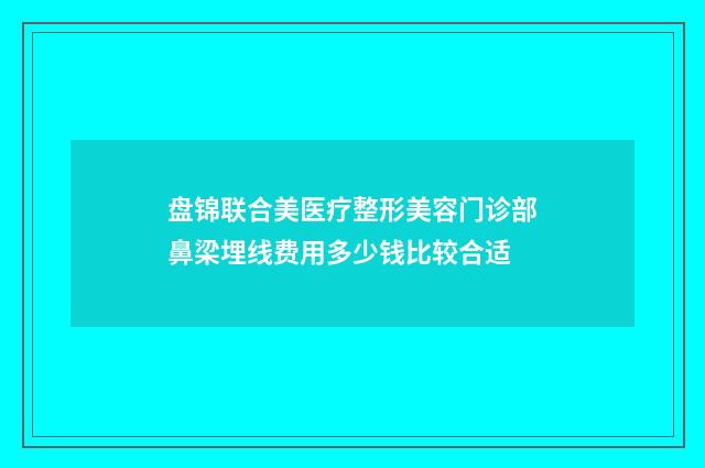 盘锦联合美医疗整形美容门诊部鼻梁埋线费用多少钱比较合适