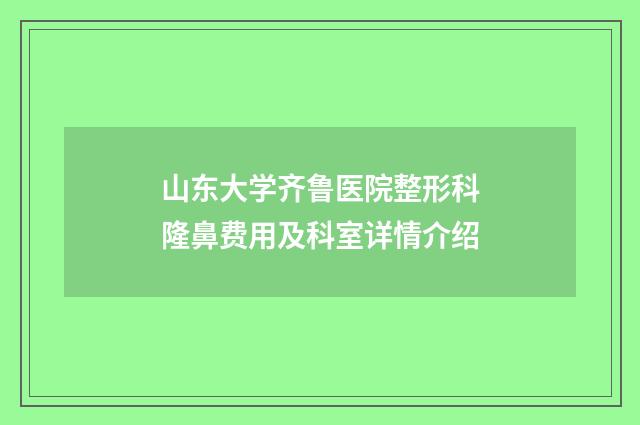 山东大学齐鲁医院整形科隆鼻费用及科室详情介绍