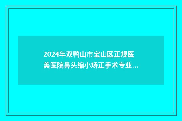 2024年双鸭山市宝山区正规医美医院鼻头缩小矫正手术专业机构