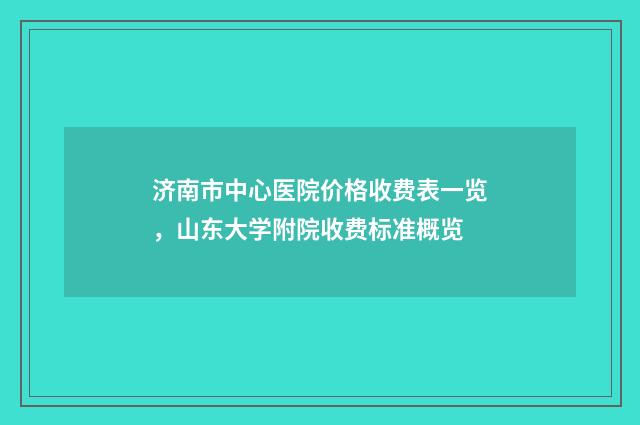 济南市中心医院价格收费表一览,山东大学附院收费标准概览