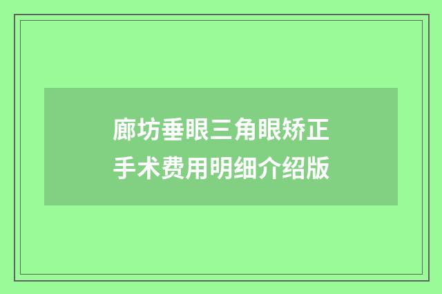 廊坊垂眼三角眼矫正手术费用明细介绍版