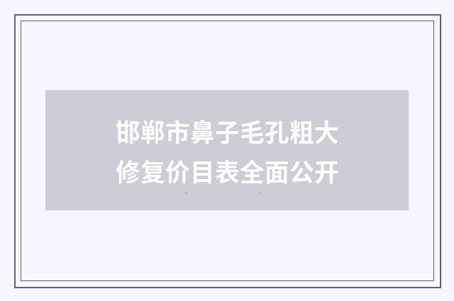 邯郸市鼻子毛孔粗大修复价目表全面公开