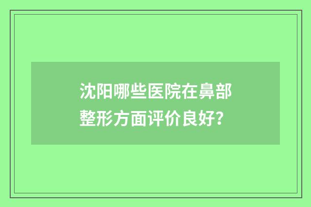 沈阳哪些医院在鼻部整形方面评价良好？