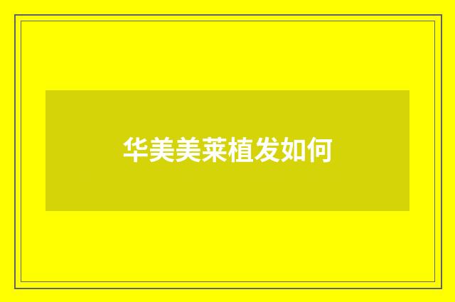 华美美莱植发如何