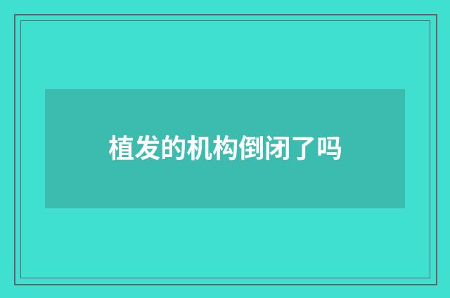 植发的机构倒闭了吗