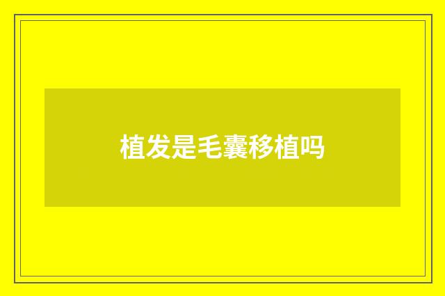 植发是毛囊移植吗